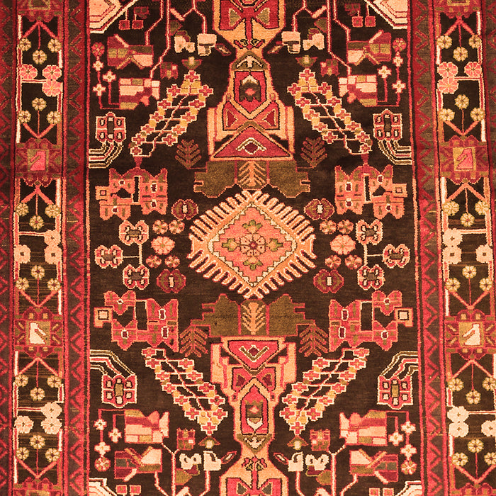 Animal Orange Traditional Rug, tr684org