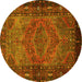 Round Machine Washable Persian Yellow Traditional Rug, wshtr688yw