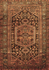 Persian Brown Traditional Rug, tr689brn