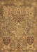 Animal Brown Traditional Rug, tr68brn