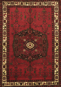 Persian Brown Traditional Rug, tr694brn