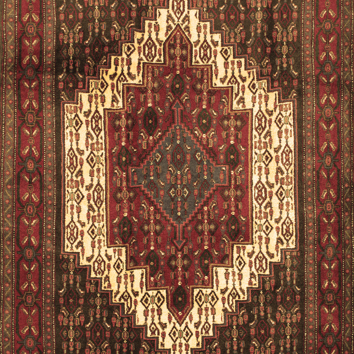 Machine Washable Persian Brown Traditional Rug, wshtr6brn