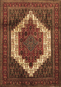 Persian Brown Traditional Rug, tr6brn