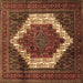 Square Persian Brown Traditional Rug, tr6brn