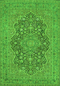 Persian Green Traditional Rug, tr70grn