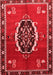 Medallion Red Traditional Area Rugs