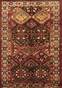 Persian Brown Traditional Rug, tr718brn