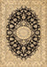 Medallion Brown Traditional Rug, tr723brn