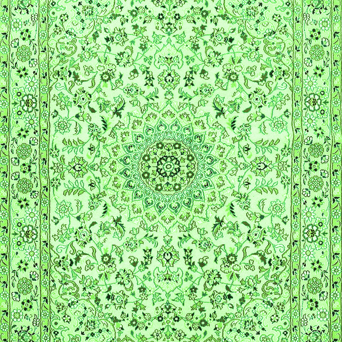 Medallion Green Traditional Rug, tr724grn