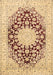 Machine Washable Medallion Brown Traditional Rug, wshtr729brn