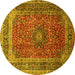 Round Medallion Yellow Traditional Rug, tr72yw