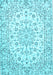 Medallion Light Blue Traditional Rug, tr730lblu