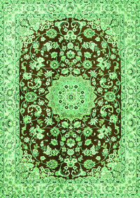 Medallion Green Traditional Rug, tr731grn