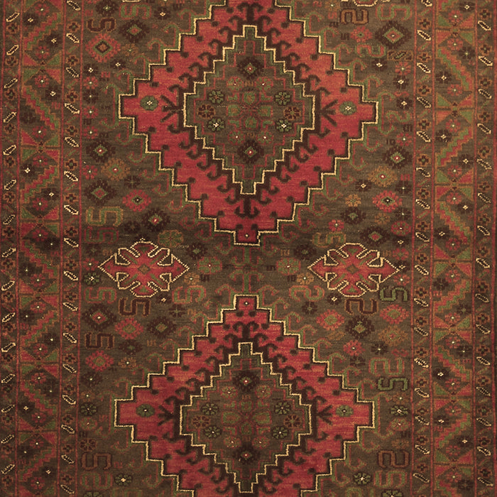 Persian Brown Traditional Rug, tr732brn