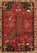 Animal Brown Traditional Rug, tr736brn