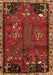 Machine Washable Animal Brown Traditional Rug, wshtr736brn