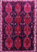 Persian Pink Traditional Rug, tr739pnk