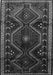 Persian Gray Traditional Rug, tr743gry