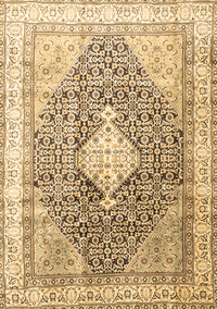 Persian Brown Traditional Rug, tr754brn