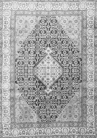 Persian Gray Traditional Rug, tr754gry