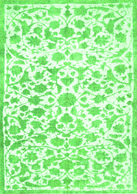 Persian Green Traditional Rug, tr763grn