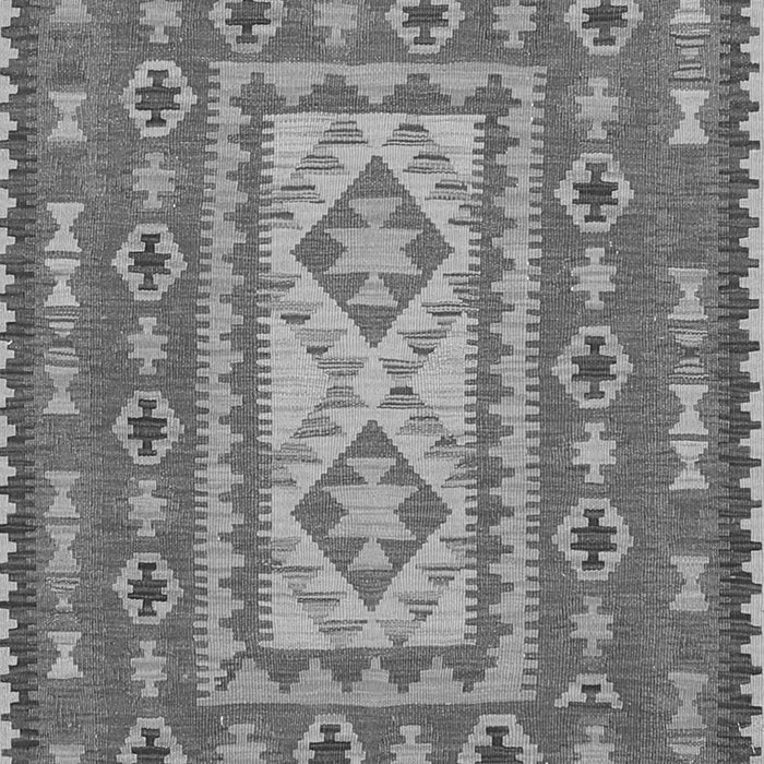 Persian Gray Traditional Rug, tr765gry