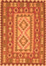 Persian Orange Traditional Rug, tr765org
