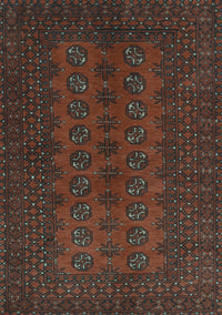 Persian Light Blue Traditional Rug, tr766lblu