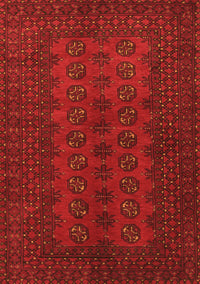 Persian Orange Traditional Rug, tr766org