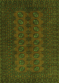 Persian Green Traditional Rug, tr766grn