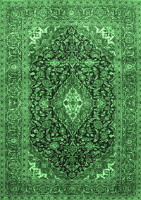 Medallion Emerald Green Traditional Rug, tr76emgrn