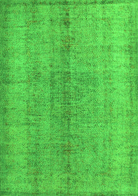 Persian Green Traditional Rug, tr772grn