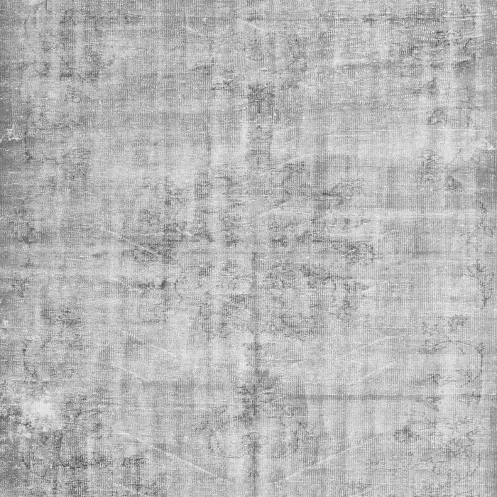 Persian Gray Traditional Rug, tr775gry