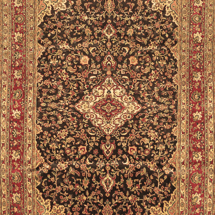 Medallion Brown Traditional Rug, tr77brn