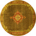 Round Persian Yellow Traditional Rug, tr787yw
