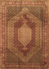 Persian Brown Traditional Rug, tr788brn