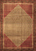 Persian Brown Traditional Rug, tr790brn