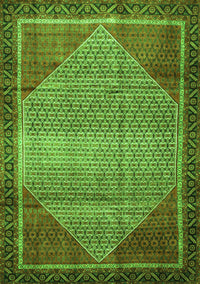 Persian Green Traditional Rug, tr790grn