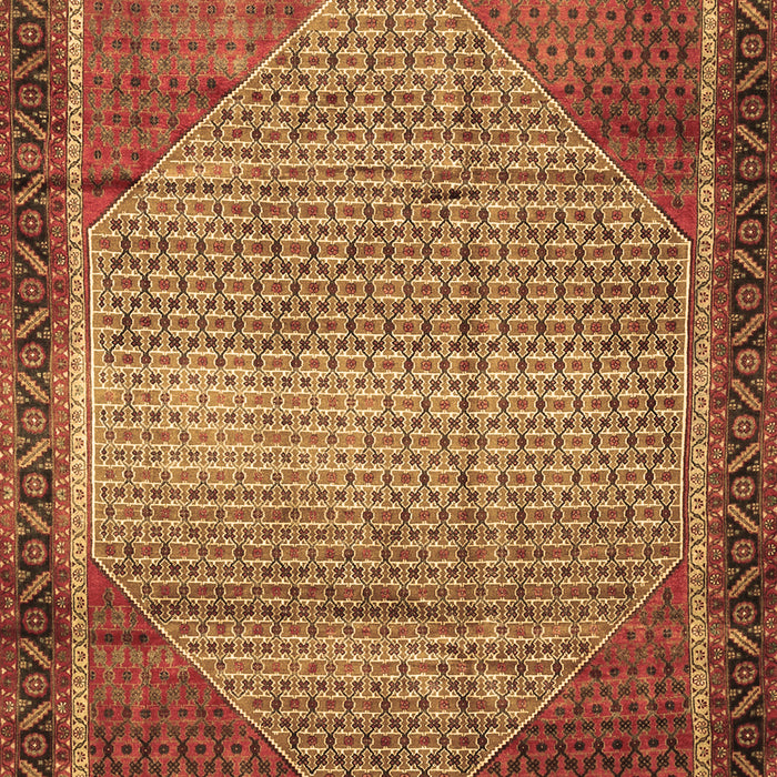 Machine Washable Persian Brown Traditional Rug, wshtr790brn