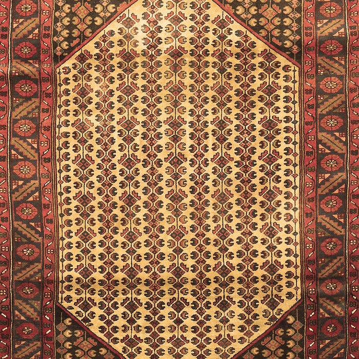 Machine Washable Persian Brown Traditional Rug, wshtr792brn