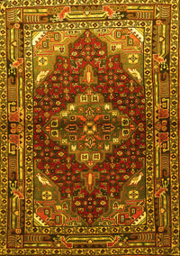 Persian Yellow Traditional Rug, tr794yw