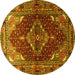 Round Persian Yellow Traditional Rug, tr794yw