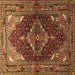 Square Persian Brown Traditional Rug, tr794brn