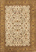 Persian Brown Traditional Rug, tr795brn