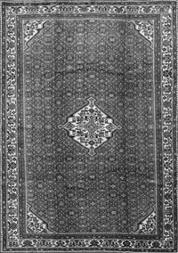 Persian Gray Traditional Rug, tr796gry