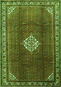 Persian Green Traditional Rug, tr796grn