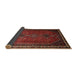 Sideview of Traditional Chestnut Brown Persian Rug, tr808