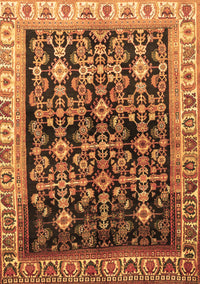 Persian Brown Traditional Rug, tr823brn