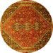 Round Persian Yellow Traditional Rug, tr828yw