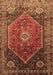 Machine Washable Persian Brown Traditional Rug, wshtr829brn